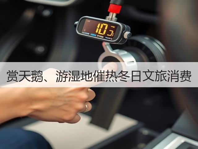 赏天鹅、游湿地催热冬日文旅消费(图2)