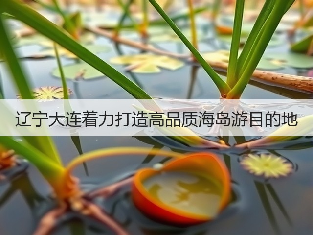 辽宁大连着力打造高品质海岛游目的地(图3) 辽宁大连着力打造高品质海岛游目的地(图3)