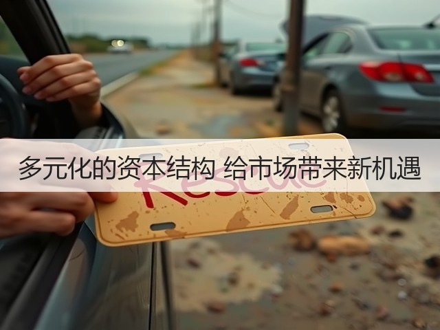 多元化的资本结构 给市场带来新机遇(图2) 多元化的资本结构 给市场带来新机遇(图2)