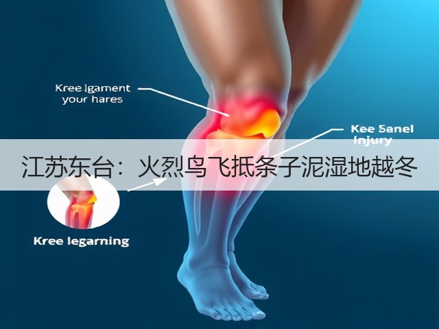 江苏东台:火烈鸟飞抵条子泥湿地越冬(图3) 江苏东台:火烈鸟飞抵条子泥湿地越冬(图3)