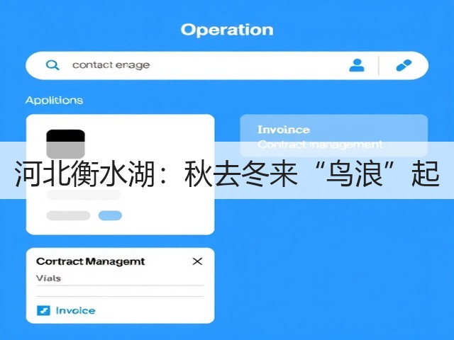 河北衡水湖:秋去冬来“鸟浪”起(图3) 河北衡水湖:秋去冬来“鸟浪”起(图3)