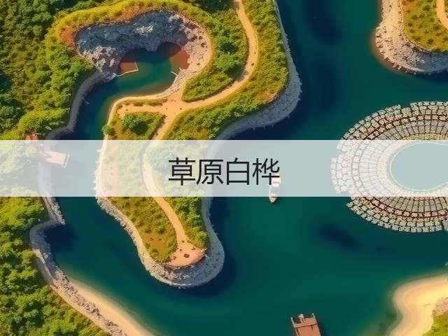 草原白桦(图2) 草原白桦(图2)