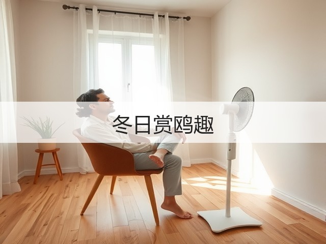 冬日赏鸥趣(图1) 冬日赏鸥趣(图1)