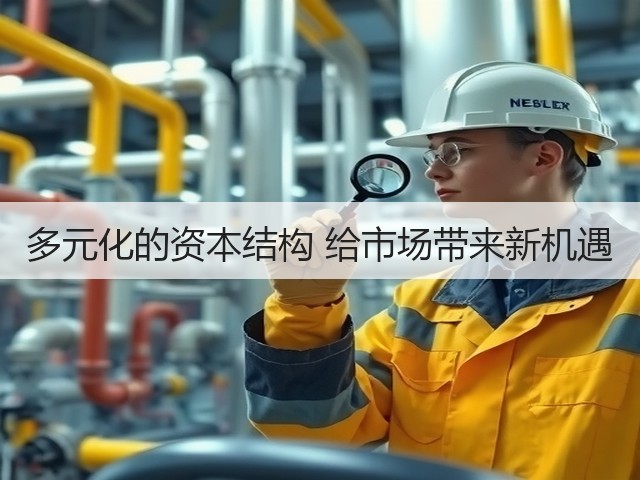 多元化的资本结构 给市场带来新机遇(图1) 多元化的资本结构 给市场带来新机遇(图1)