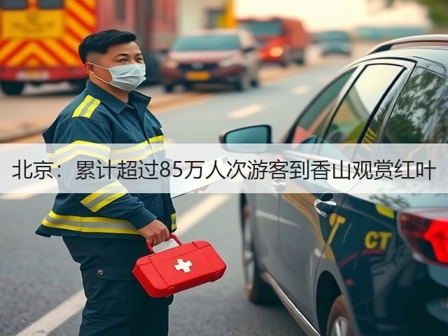 北京:累计超过85万人次游客到香山观赏红叶(图3) 北京:累计超过85万人次游客到香山观赏红叶(图3)