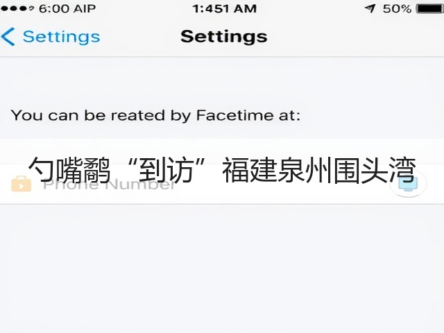 勺嘴鹬“到访”福建泉州围头湾(图1) 勺嘴鹬“到访”福建泉州围头湾(图1)