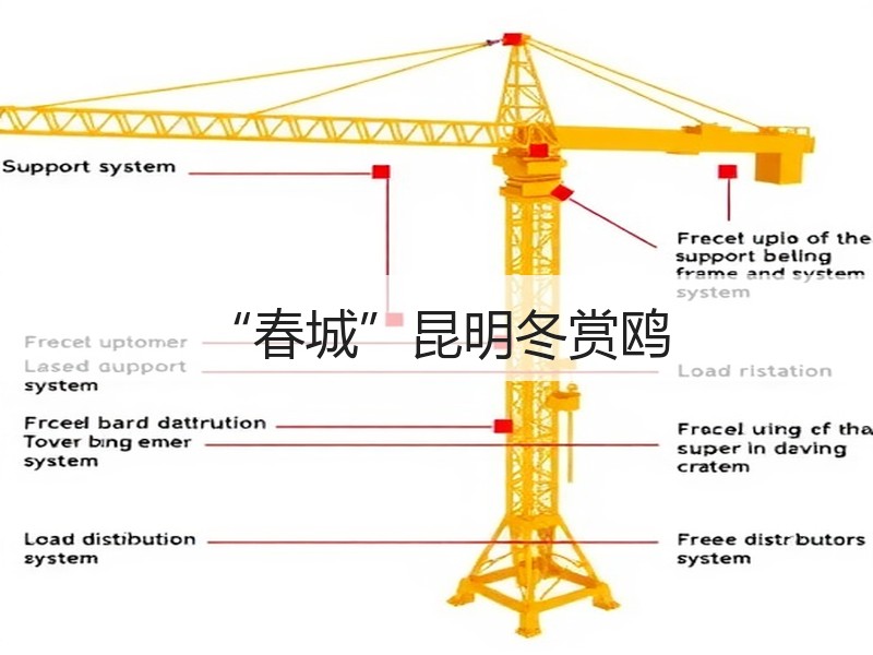 “春城”昆明冬赏鸥 - 安枢游走吧旅游科普资讯网
