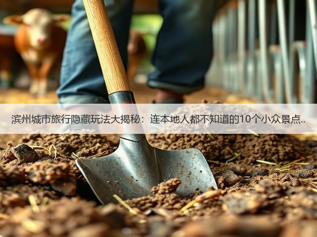 滨州城市旅行隐藏玩法大揭秘:连本地人都不知道的10个小众景点..(图1) 滨州城市旅行隐藏玩法大揭秘:连本地人都不知道的10个小众景点..(图1)