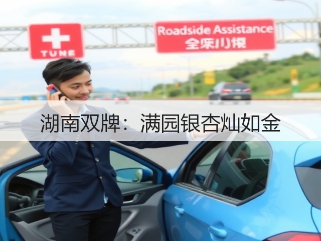 湖南双牌:满园银杏灿如金(图2) 湖南双牌:满园银杏灿如金(图2)