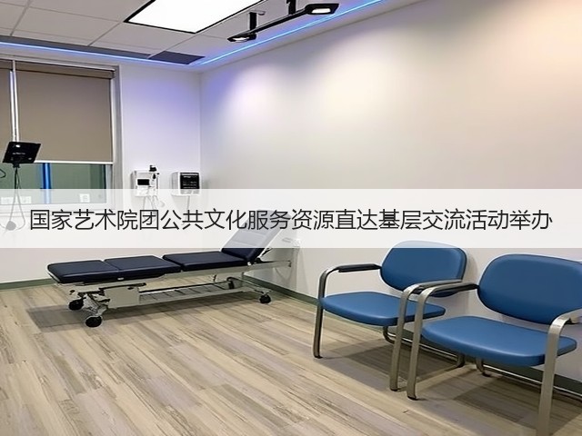 国家艺术院团公共文化服务资源直达基层交流活动举办(图2)