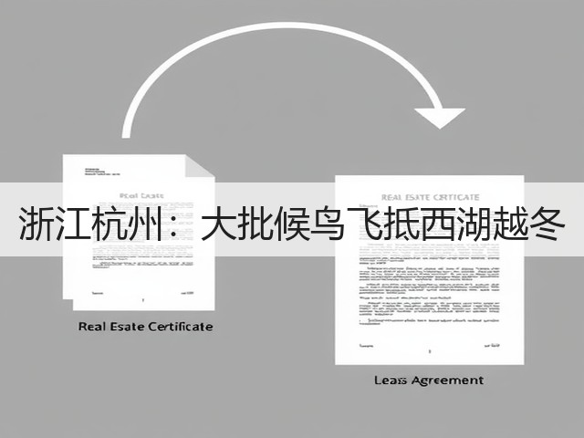 浙江杭州:大批候鸟飞抵西湖越冬(图3) 浙江杭州:大批候鸟飞抵西湖越冬(图3)