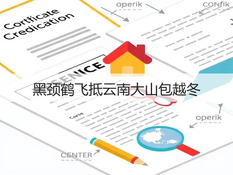 黑颈鹤飞抵云南大山包越冬 - 安枢游走吧旅游科普资讯网